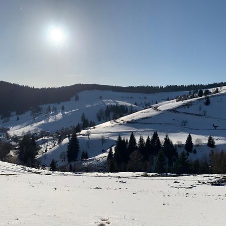 Haus Wiesenquelle, Deluxe-Apartment 'Feld & Berg' เฟลด์แบร์ก ภายนอก รูปภาพ