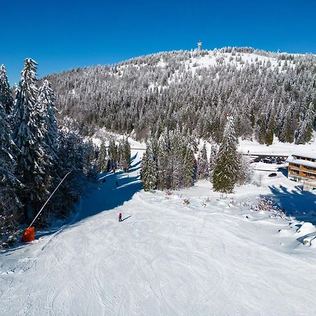 Haus Wiesenquelle, Deluxe-Apartment 'Feld & Berg' เฟลด์แบร์ก ภายนอก รูปภาพ