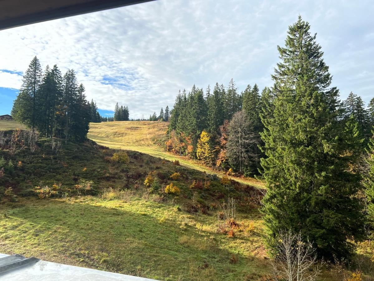 Haus Wiesenquelle, Deluxe-Apartment 'Feld & Berg' เฟลด์แบร์ก ภายนอก รูปภาพ